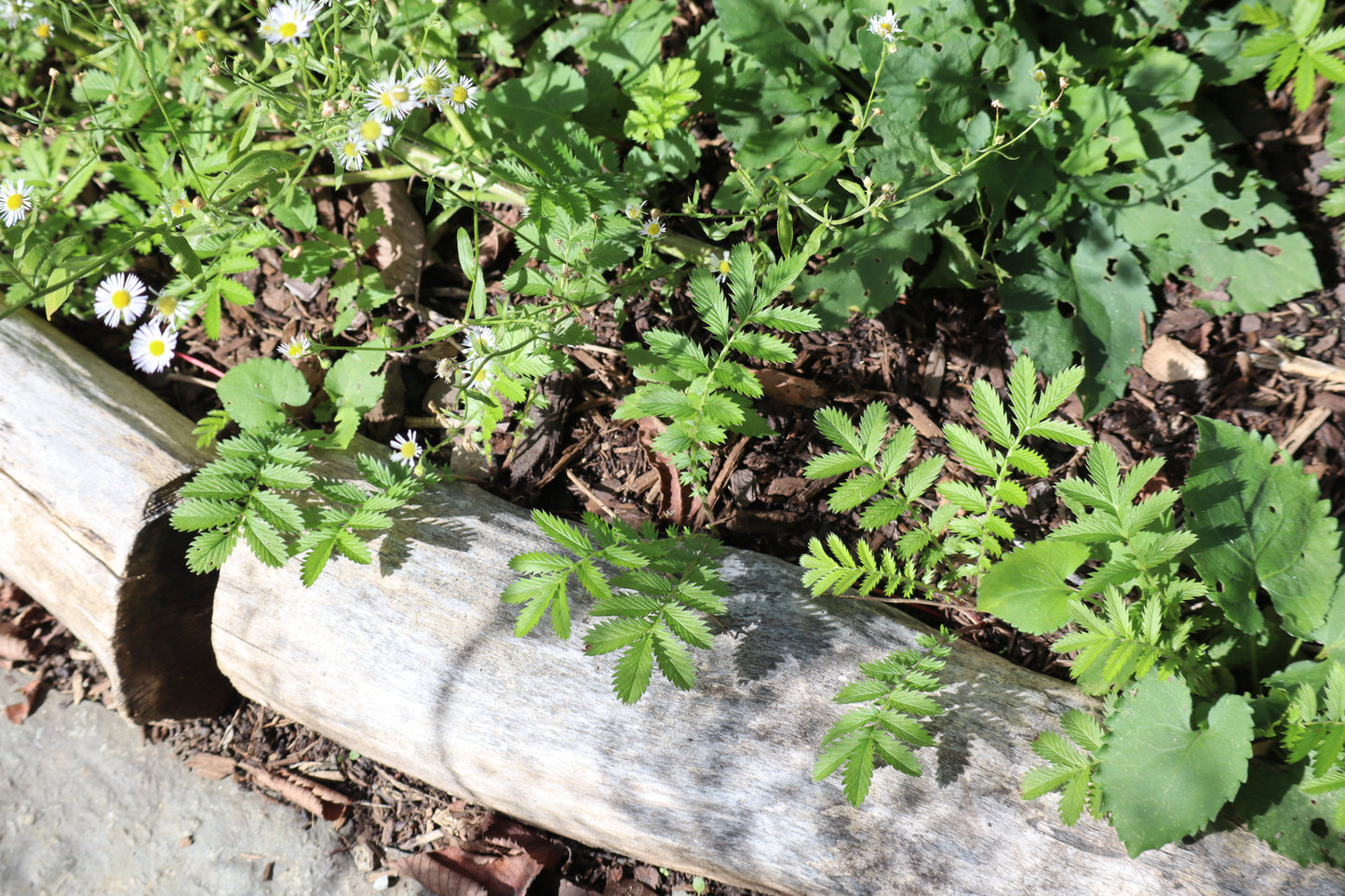 Installation & Landscaping