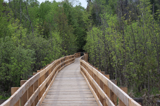 Guided Ecological Tours Field-Based Learning on Public & Private Lands