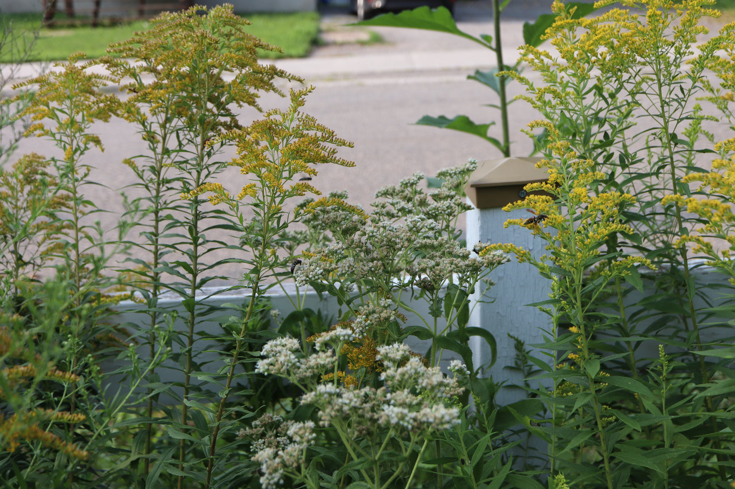 Installation & Landscaping