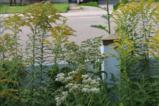 Installation & Landscaping